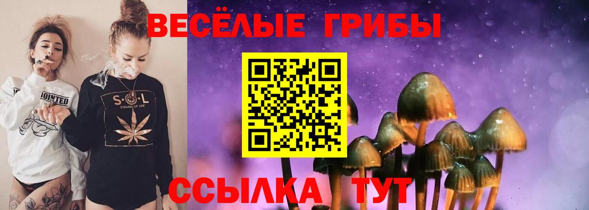 Псилоцибиновые грибы MAGIC MUSHROOMS  Вход с VPN  Тайшет 