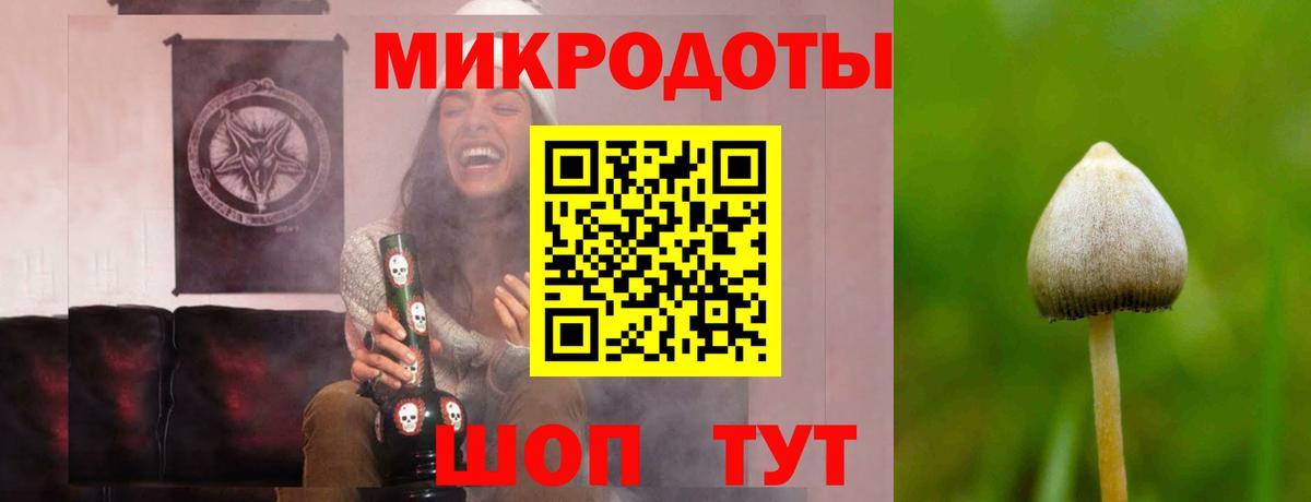 Галлюциногенные грибы мухоморы Тайшет